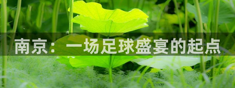 胜天国际下载链接app：南京：一场足球盛宴的起点