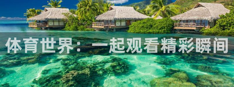 胜天国际官网：体育世界：一起观看精彩瞬间