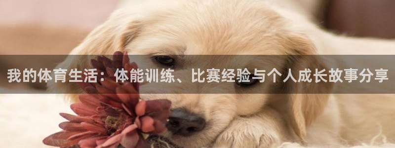胜天国际网页登录入口：我的体育生活：体能训练、比赛经验与个人成长故事分享