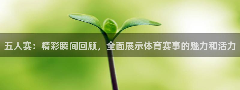 胜天国际app：五人赛：精彩瞬间回顾，全面展示体育赛事的魅力和活力