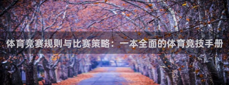 胜天国际app链接下载：体育竞赛规则与比赛策略：一本全面的体育竞技手册