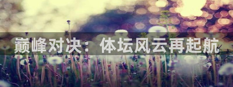 胜天国际app下载安装：巅峰对决：体坛风云再起航