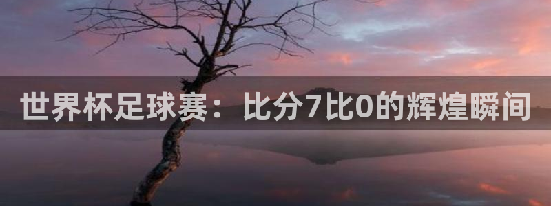 胜天国际下载链接app：世界杯足球赛：比分7比0的辉煌瞬间