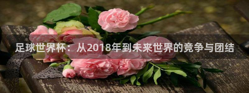 胜天集团是做什么的：足球世界杯：从2018年到未来世界的竞争与团结
