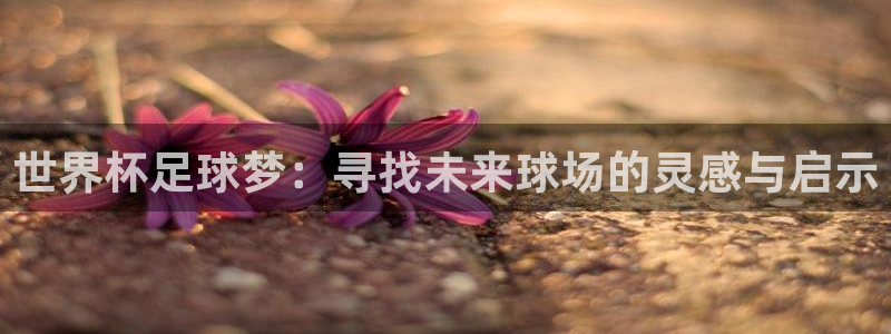 胜天集团是干什么的：世界杯足球梦：寻找未来球场的灵感与启示