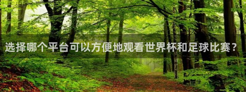 胜天集团有限公司：选择哪个平台可以方便地观看世界杯和足球比赛？