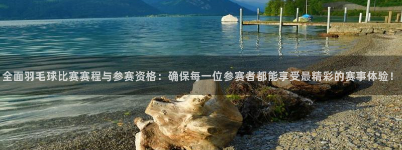 胜天国际app官网入口：全面羽毛球比赛赛程与参赛资格：确保每一位参赛者都能享受最精彩的赛事体验！