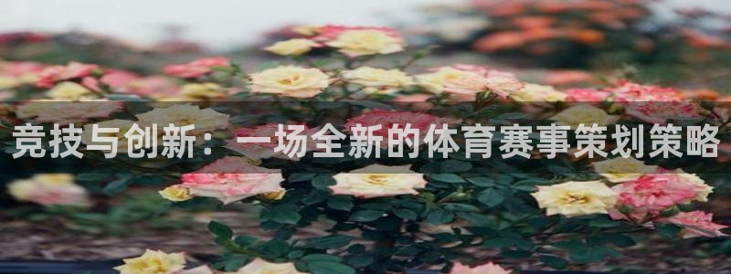 胜天国际app官网入口下载：竞技与创新：一场全新的体育赛事策划策略