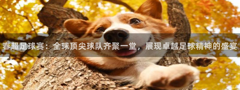 胜天国际棋牌：春超足球赛：全球顶尖球队齐聚一堂，展现卓越足球精神的盛宴