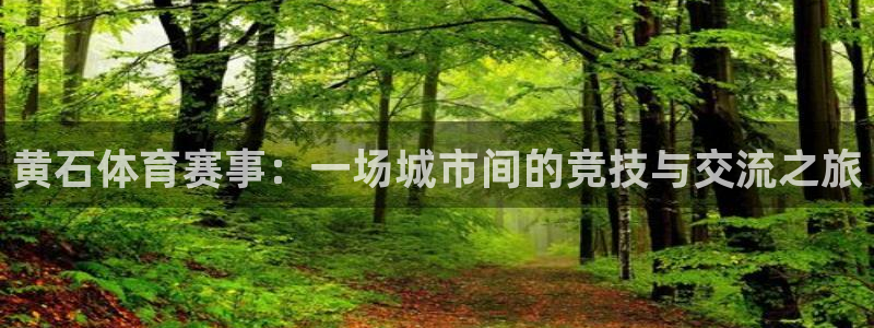 胜天国际app下载：黄石体育赛事：一场城市间的竞技与交流之旅