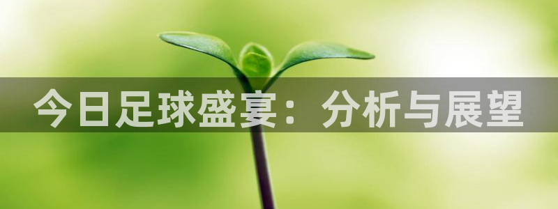 胜天国际手机app下载：今日足球盛宴：分析与展望