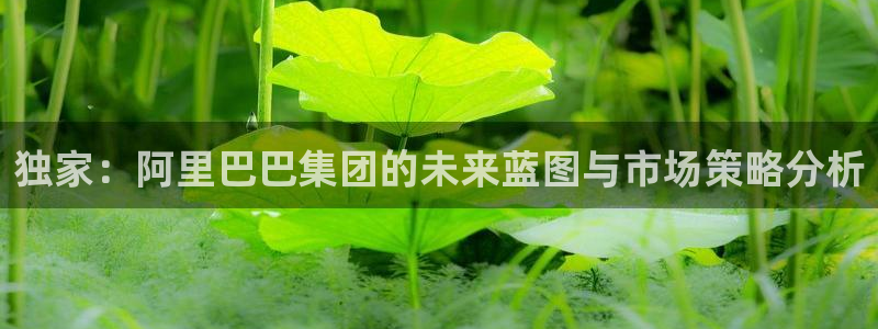 胜天集团：独家：阿里巴巴集团的未来蓝图与市场策略分析
