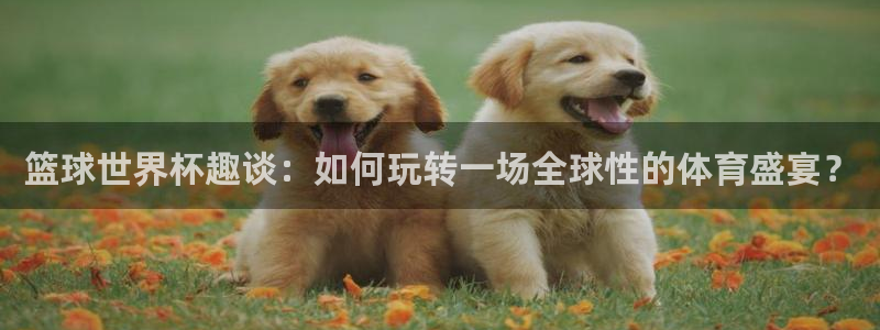 胜天国际app下载安装最新版本更新内：篮球世界杯趣谈：如何玩转一场全球性的体育盛宴？