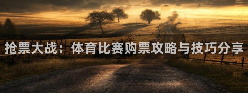胜天国际平台登录入口：抢票大战：体育比赛购票攻略与技巧分享
