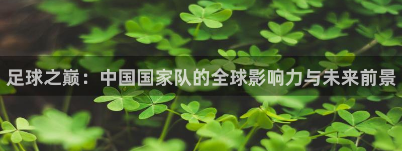 胜天国际网页登录入口：足球之巅：中国国家队的全球影响力与未来前景