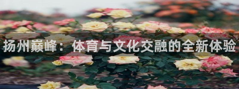 胜天国际平台app下载：扬州巅峰：体育与文化交融的全新体验