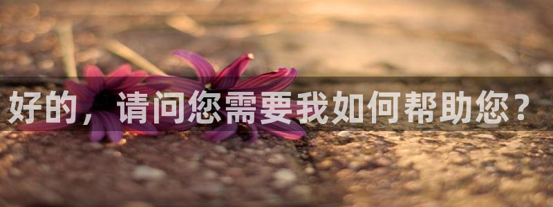 胜天国际是什么：好的，请问您需要我如何帮助您？