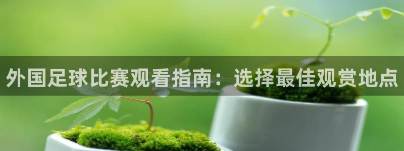 胜天国际下载链接app：外国足球比赛观看指南：选择最佳观赏地点