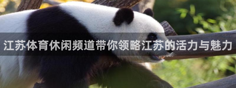 胜天国际集团：江苏体育休闲频道带你领略江苏的活力与魅力