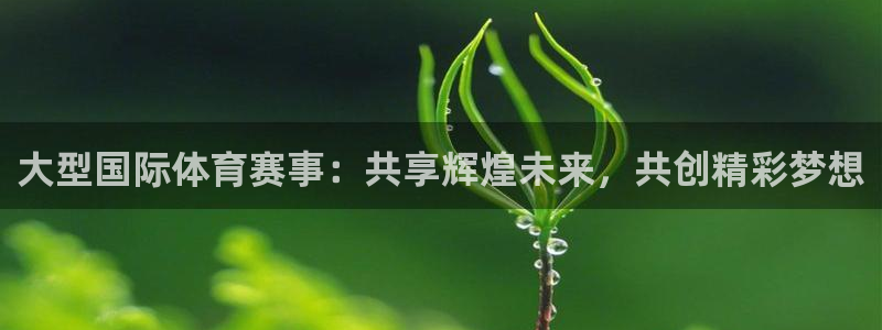 胜天国际网页版登录入口：大型国际体育赛事：共享辉煌未来，共创精彩梦想