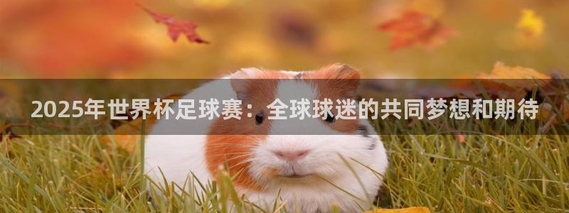 胜天国际app在线下载：2025年世界杯足球赛：全球球迷的共同梦想和期待